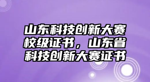 山東科技創(chuàng)新大賽校級證書，山東省科技創(chuàng)新大賽證書