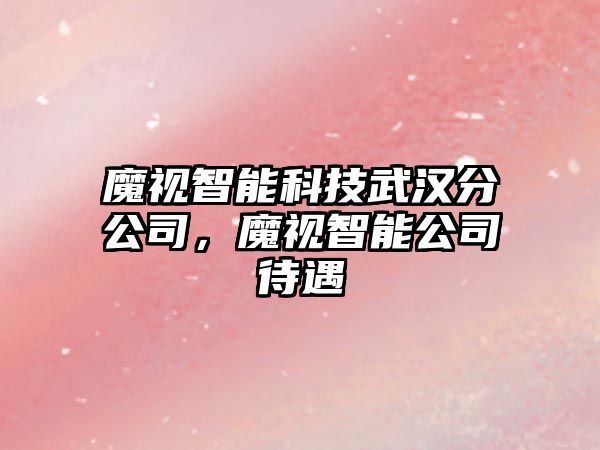 魔視智能科技武漢分公司，魔視智能公司待遇