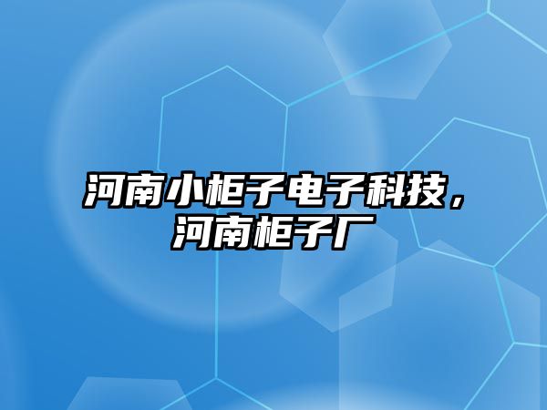 河南小柜子電子科技，河南柜子廠