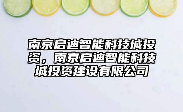 南京啟迪智能科技城投資，南京啟迪智能科技城投資建設有限公司