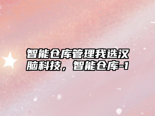 智能倉(cāng)庫(kù)管理我選漢腦科技，智能倉(cāng)庫(kù)-1