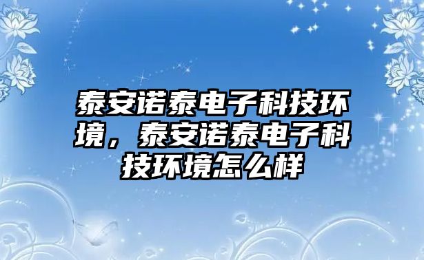 泰安諾泰電子科技環(huán)境，泰安諾泰電子科技環(huán)境怎么樣