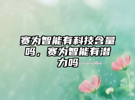 賽為智能有科技含量嗎，賽為智能有潛力嗎