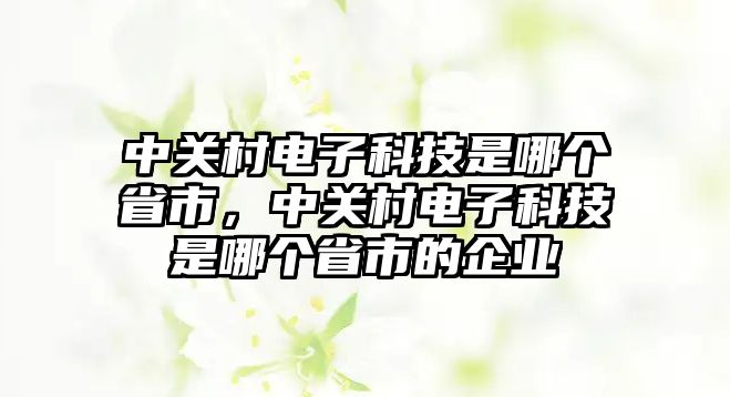 中關(guān)村電子科技是哪個省市，中關(guān)村電子科技是哪個省市的企業(yè)