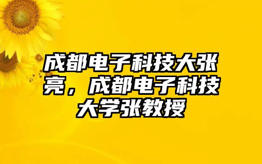 成都電子科技大張亮，成都電子科技大學(xué)張教授