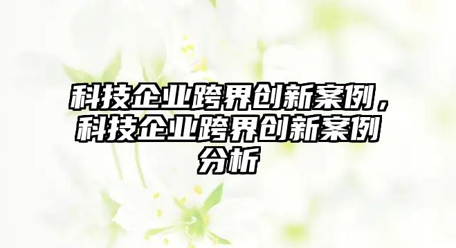 科技企業(yè)跨界創(chuàng)新案例，科技企業(yè)跨界創(chuàng)新案例分析