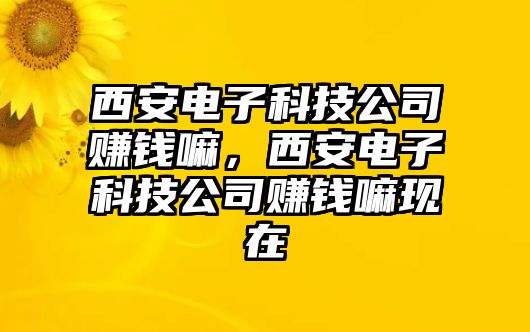 西安電子科技公司賺錢嘛，西安電子科技公司賺錢嘛現(xiàn)在