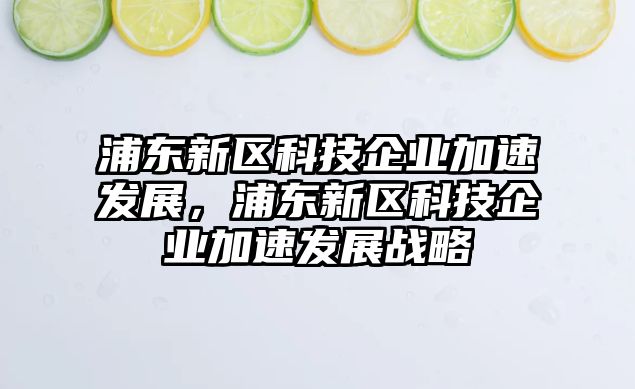 浦東新區(qū)科技企業(yè)加速發(fā)展，浦東新區(qū)科技企業(yè)加速發(fā)展戰(zhàn)略