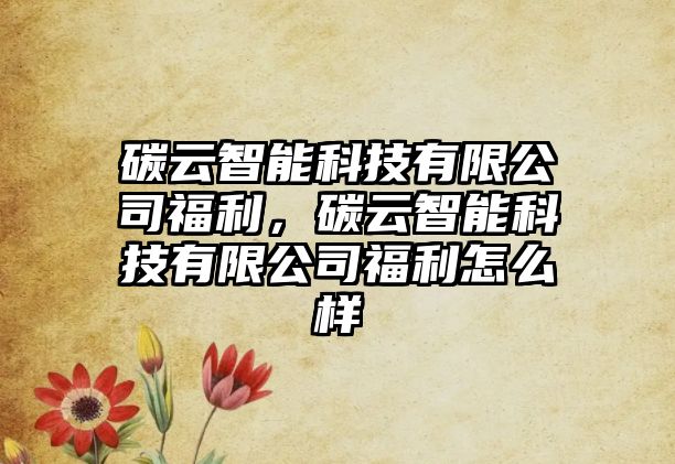 碳云智能科技有限公司福利，碳云智能科技有限公司福利怎么樣