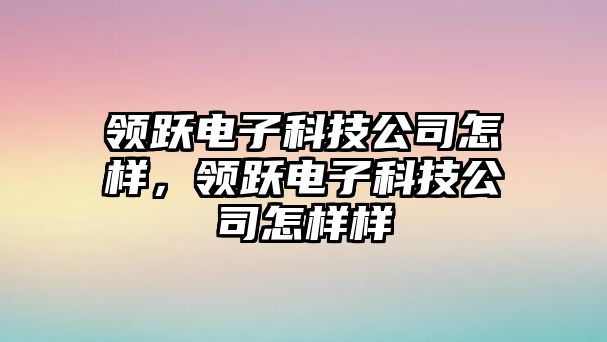 領(lǐng)躍電子科技公司怎樣，領(lǐng)躍電子科技公司怎樣樣