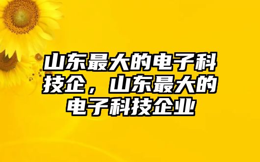 山東最大的電子科技企，山東最大的電子科技企業(yè)