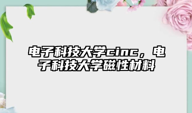 電子科技大學cinc，電子科技大學磁性材料