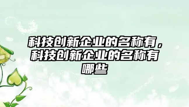 科技創(chuàng)新企業(yè)的名稱有，科技創(chuàng)新企業(yè)的名稱有哪些