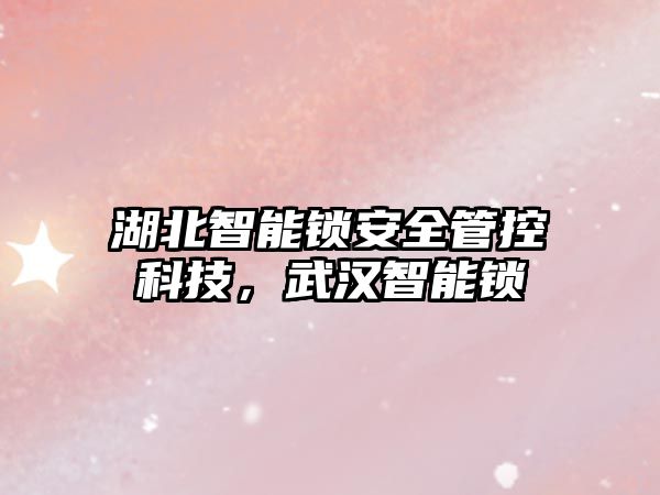 湖北智能鎖安全管控科技，武漢智能鎖