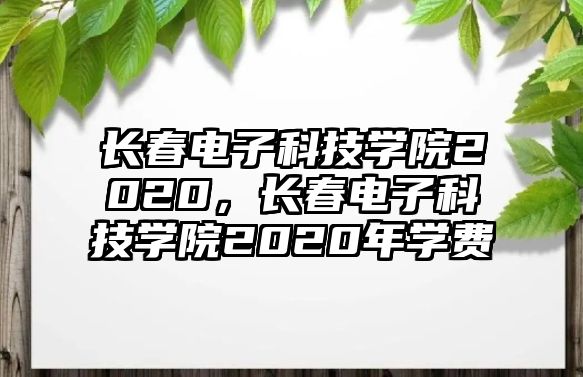 長春電子科技學(xué)院2020，長春電子科技學(xué)院2020年學(xué)費(fèi)