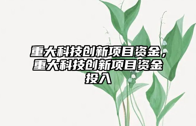 重大科技創(chuàng)新項目資金，重大科技創(chuàng)新項目資金投入