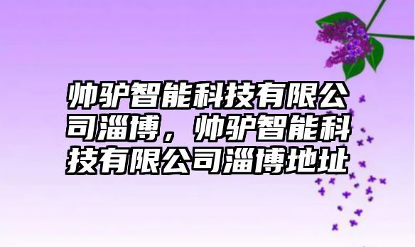 帥驢智能科技有限公司淄博，帥驢智能科技有限公司淄博地址