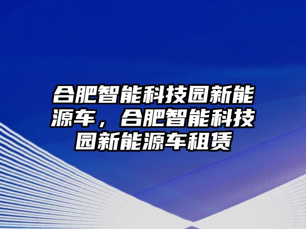 合肥智能科技園新能源車，合肥智能科技園新能源車租賃