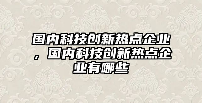 國內科技創(chuàng)新熱點企業(yè)，國內科技創(chuàng)新熱點企業(yè)有哪些