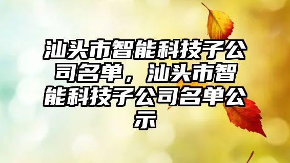 汕頭市智能科技子公司名單，汕頭市智能科技子公司名單公示