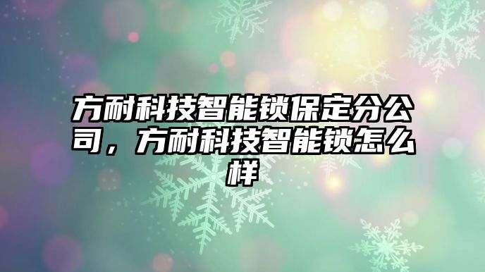 方耐科技智能鎖保定分公司，方耐科技智能鎖怎么樣