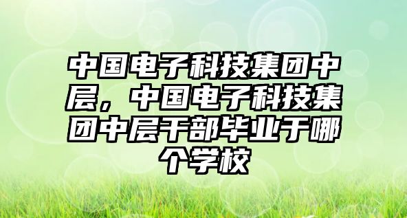 中國電子科技集團中層，中國電子科技集團中層干部畢業(yè)于哪個學(xué)校