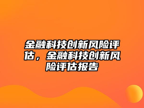 金融科技創(chuàng)新風險評估，金融科技創(chuàng)新風險評估報告