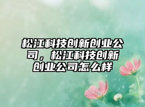 松江科技創(chuàng)新創(chuàng)業(yè)公司，松江科技創(chuàng)新創(chuàng)業(yè)公司怎么樣