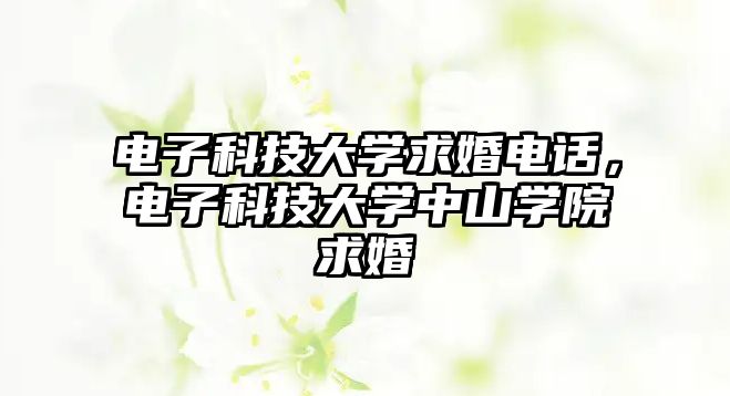 電子科技大學(xué)求婚電話，電子科技大學(xué)中山學(xué)院求婚