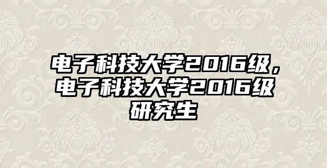 電子科技大學(xué)2016級(jí)，電子科技大學(xué)2016級(jí)研究生