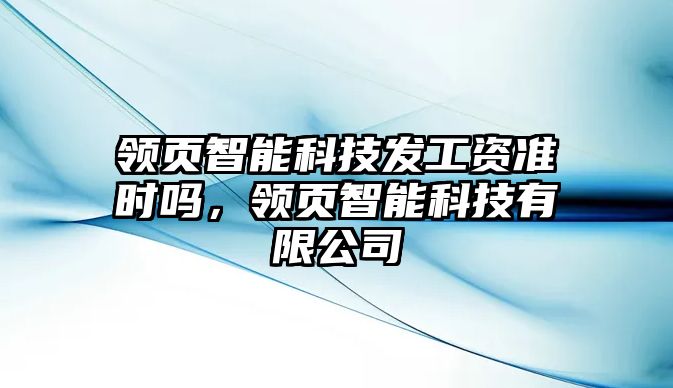 領(lǐng)頁智能科技發(fā)工資準(zhǔn)時(shí)嗎，領(lǐng)頁智能科技有限公司