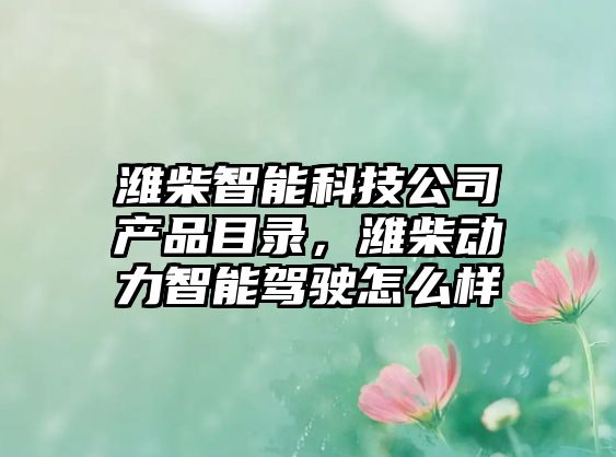 濰柴智能科技公司產(chǎn)品目錄，濰柴動(dòng)力智能駕駛怎么樣