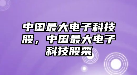 中國最大電子科技股，中國最大電子科技股票