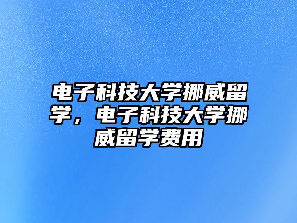 電子科技大學(xué)挪威留學(xué)，電子科技大學(xué)挪威留學(xué)費用