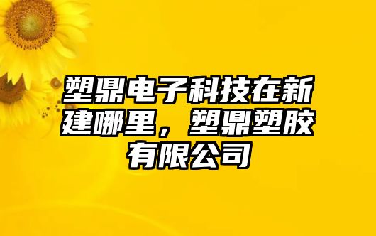 塑鼎電子科技在新建哪里，塑鼎塑膠有限公司