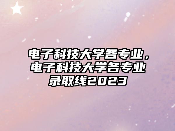 電子科技大學(xué)各專業(yè)，電子科技大學(xué)各專業(yè)錄取線2023