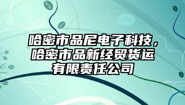 哈密市品尼電子科技，哈密市品新經(jīng)貿貨運有限責任公司