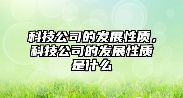 科技公司的發(fā)展性質(zhì)，科技公司的發(fā)展性質(zhì)是什么