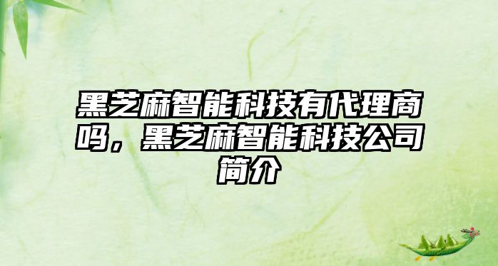 黑芝麻智能科技有代理商嗎，黑芝麻智能科技公司簡介