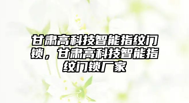 甘肅高科技智能指紋門(mén)鎖，甘肅高科技智能指紋門(mén)鎖廠家