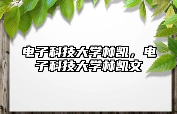 電子科技大學(xué)林凱，電子科技大學(xué)林凱文