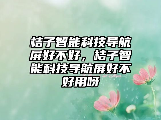 桔子智能科技導(dǎo)航屏好不好，桔子智能科技導(dǎo)航屏好不好用呀