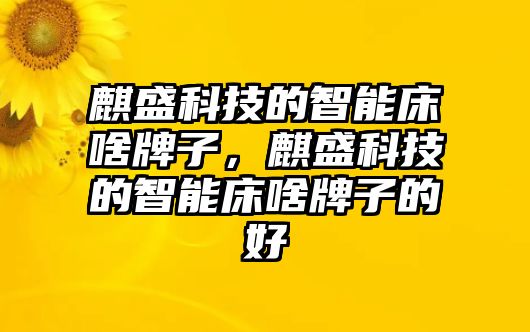 麒盛科技的智能床啥牌子，麒盛科技的智能床啥牌子的好