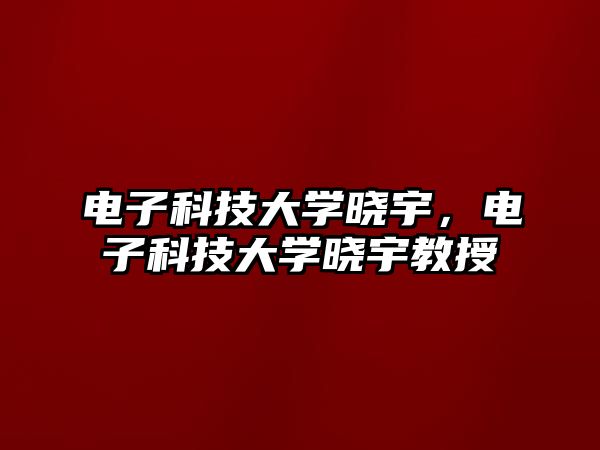 電子科技大學曉宇，電子科技大學曉宇教授