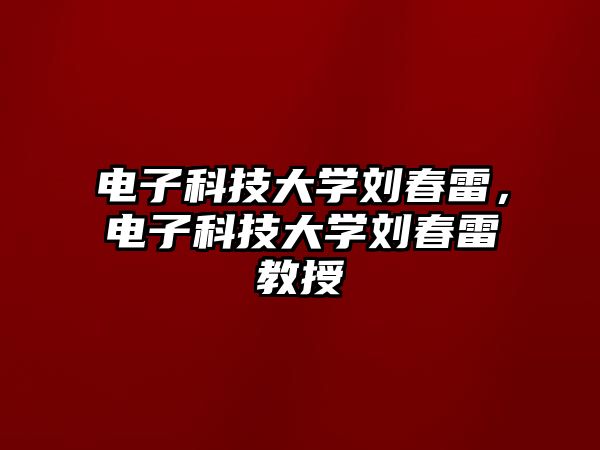 電子科技大學劉春雷，電子科技大學劉春雷教授