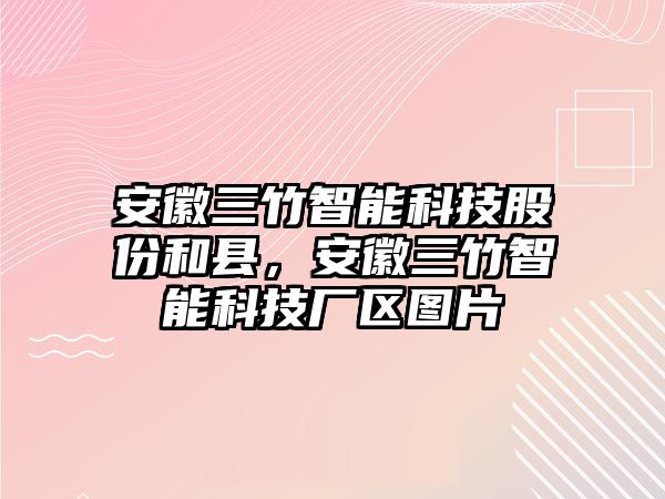 安徽三竹智能科技股份和縣，安徽三竹智能科技廠區(qū)圖片