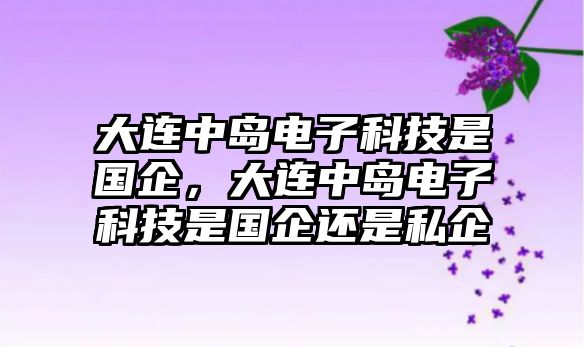 大連中島電子科技是國企，大連中島電子科技是國企還是私企