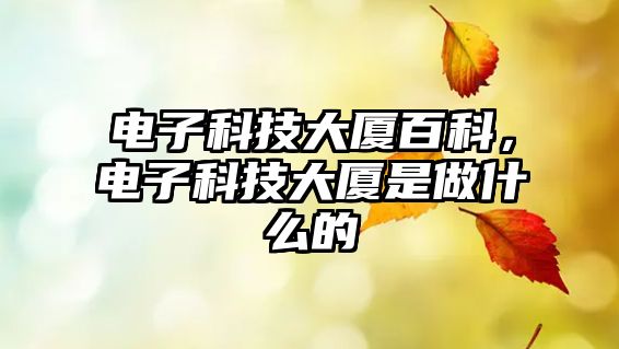 電子科技大廈百科，電子科技大廈是做什么的