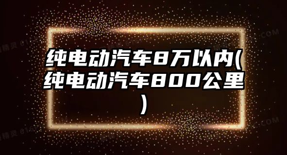 純電動(dòng)汽車(chē)8萬(wàn)以內(nèi)(純電動(dòng)汽車(chē)800公里)