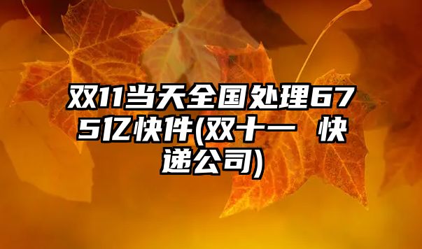 雙11當(dāng)天全國(guó)處理675億快件(雙十一 快遞公司)